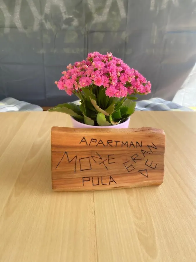 Apartman Monte Grande 풀라